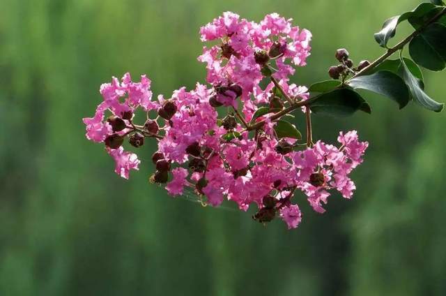 植樹節(jié)-春風十里，正“植”有你【杭州易造】