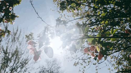 三八婦女節(jié)丨祝所有女神:愿你笑靨如花,一生不減芳華-杭州易造