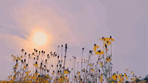 三八婦女節(jié)丨祝所有女神:愿你笑靨如花,一生不減芳華-杭州易造