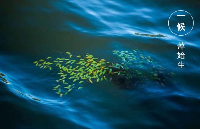 谷雨|雨生百谷,萬(wàn)象更新