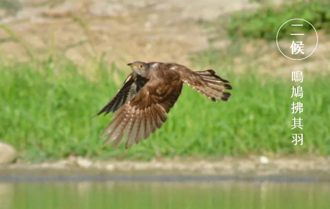 谷雨|雨生百谷,萬(wàn)象更新