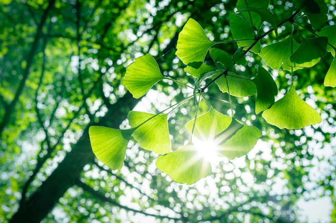 立夏六｜春光忽盡，夏木成陰【杭州易造】