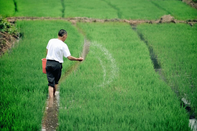 立夏六｜春光忽盡，夏木成陰【杭州易造】
