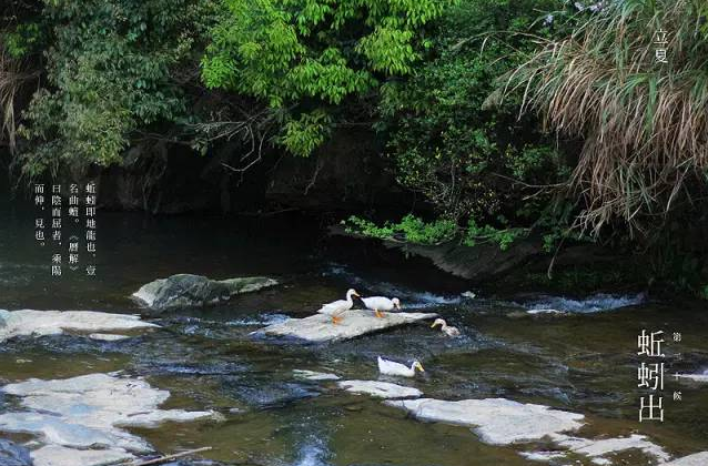立夏六｜春光忽盡，夏木成陰【杭州易造】